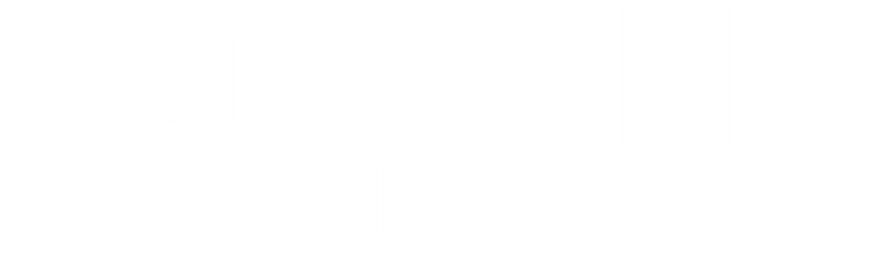 Curious Minds: Consciousness