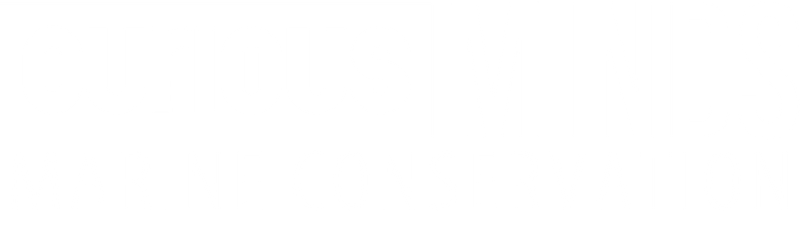 Curious Minds: Marine Conservation