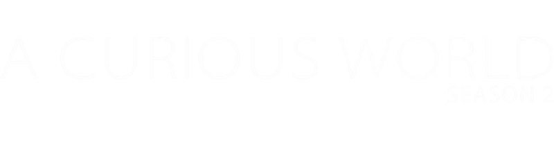 A Curious World (Season 2)