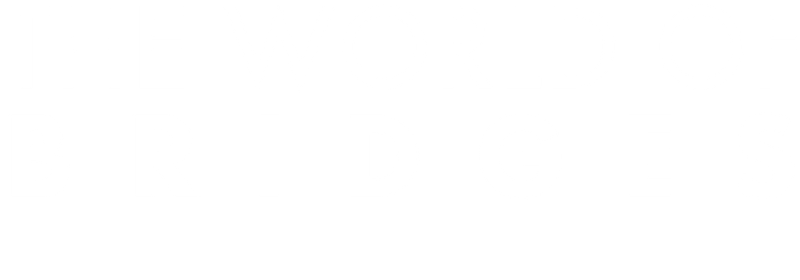 The World of Bridges