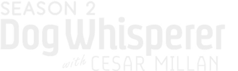 Dog Whisperer with Cesar Millan (Season 2)