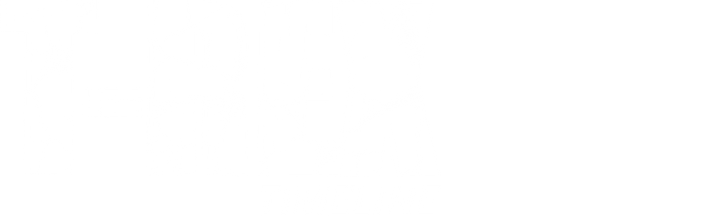 T-Rex Timeline