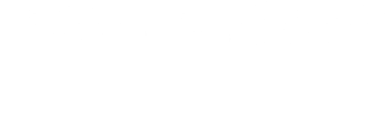Herculaneum Scrolls: Unraveling History