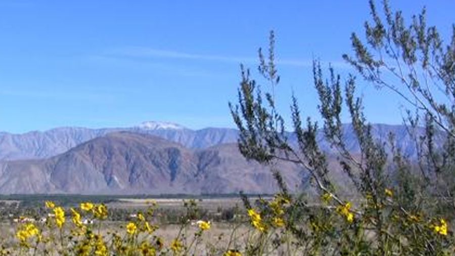 Curiosity Stream What's The Difference Between Archaeology, History