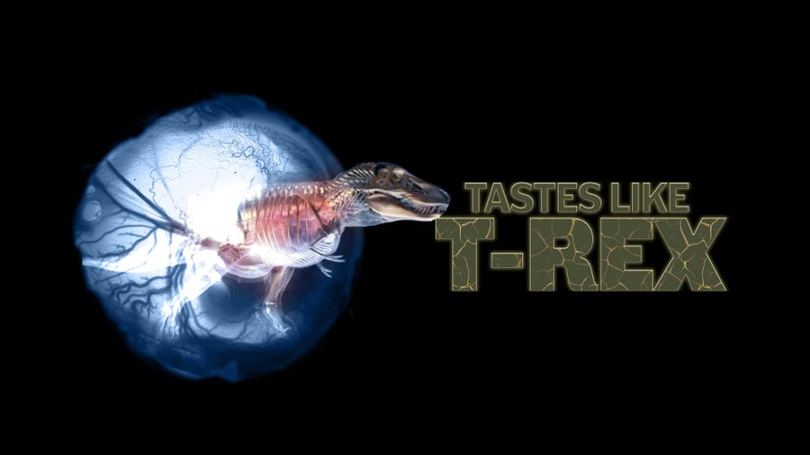 Curiosity Stream Prehistoric Creatures